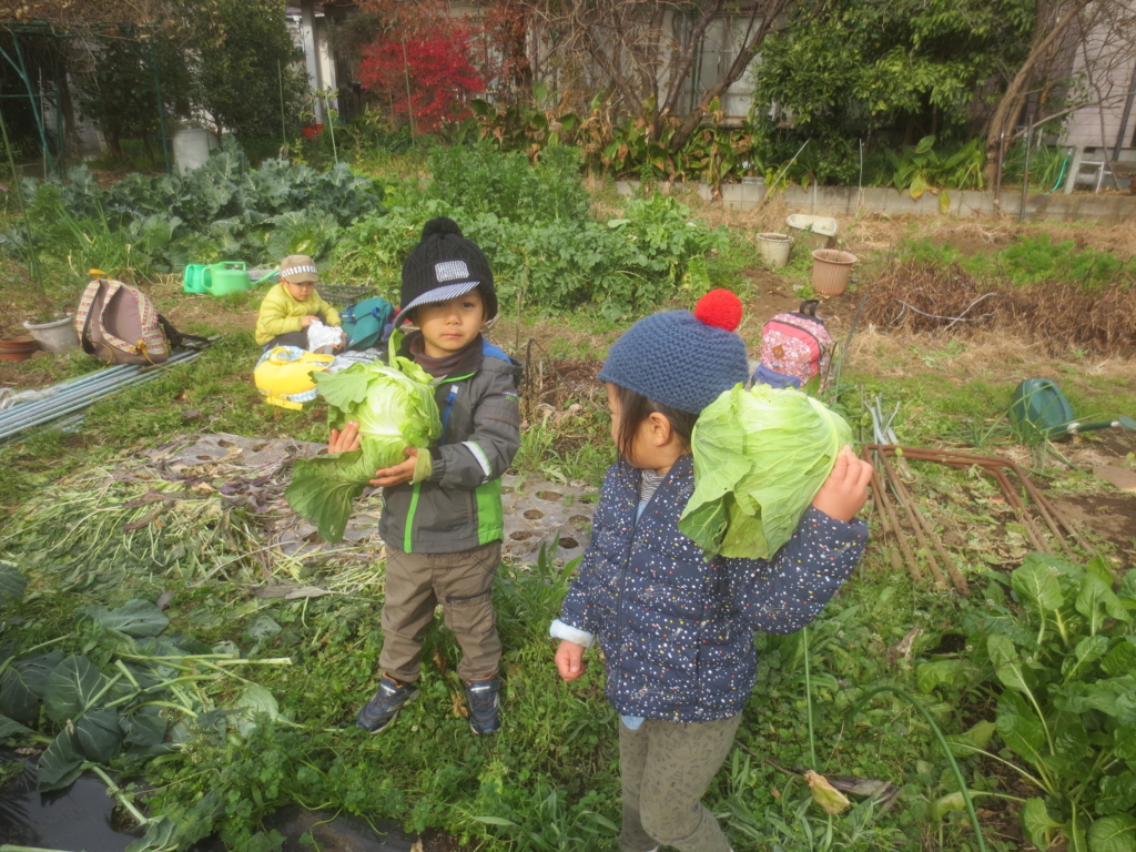 f:id:donkoro:20151221111638j:plain