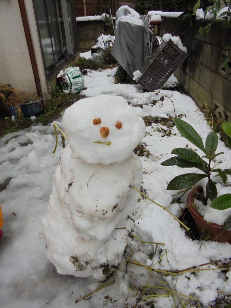 f:id:donkoro:20160118133008j:plain