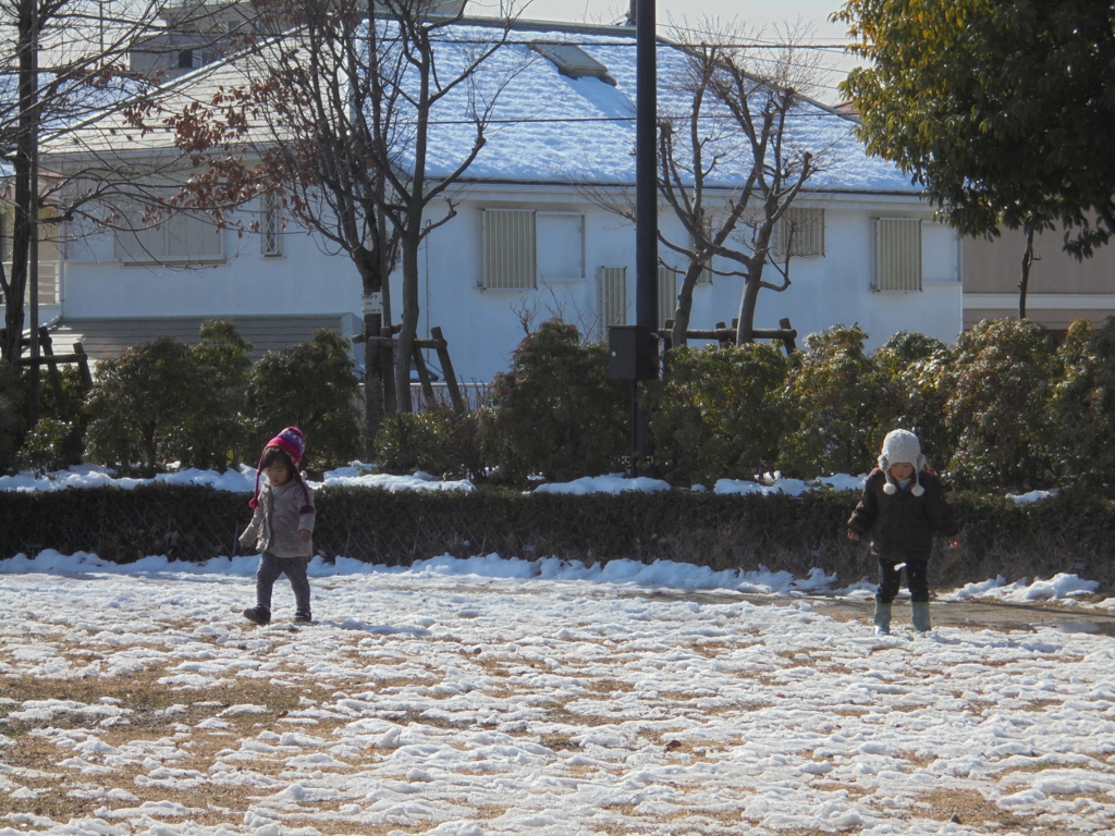 f:id:donkoro:20160121122712j:plain f:id:donkoro:20160121122712j:plain