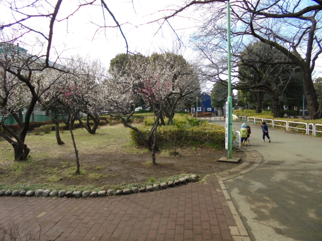 f:id:donkoro:20160225120911j:plain