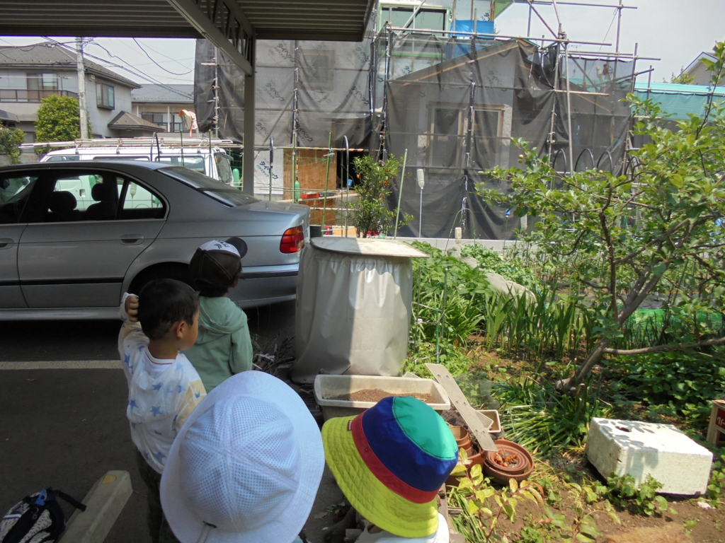 f:id:donkoro:20160523110155j:plain