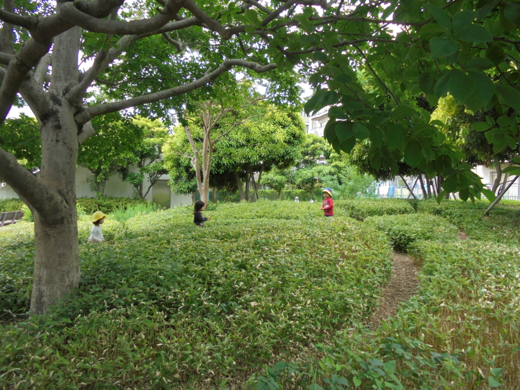 f:id:donkoro:20160526120433j:plain