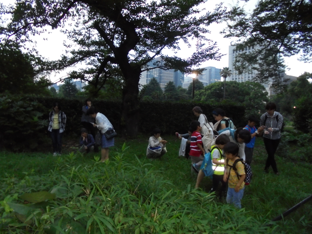 f:id:donkoro:20160727184739j:plain f:id:donkoro:20160727184739j:plain