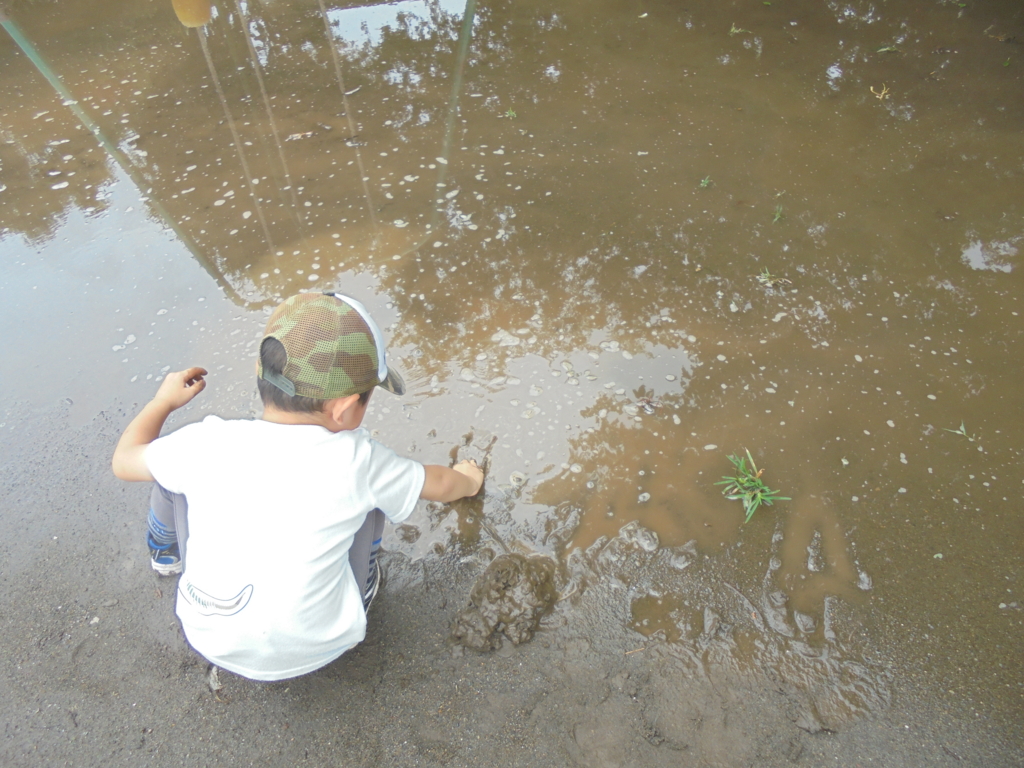 f:id:donkoro:20160908114719j:plain f:id:donkoro:20160908114719j:plain