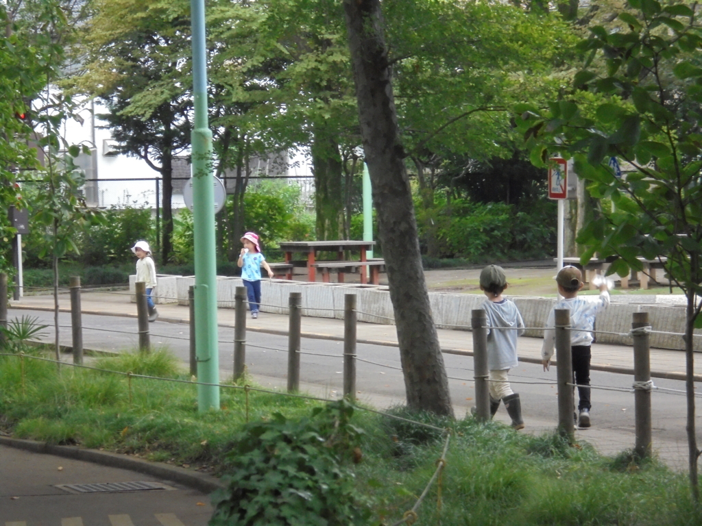 f:id:donkoro:20160916114156j:plain