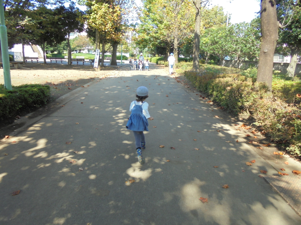f:id:donkoro:20161020110233j:plain