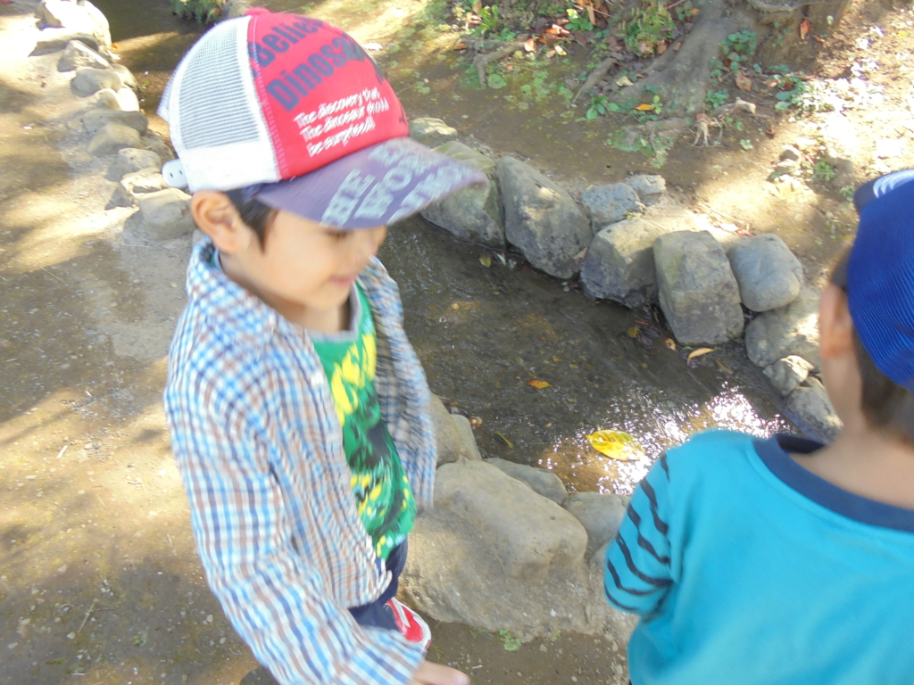 f:id:donkoro:20161024115549j:plain
