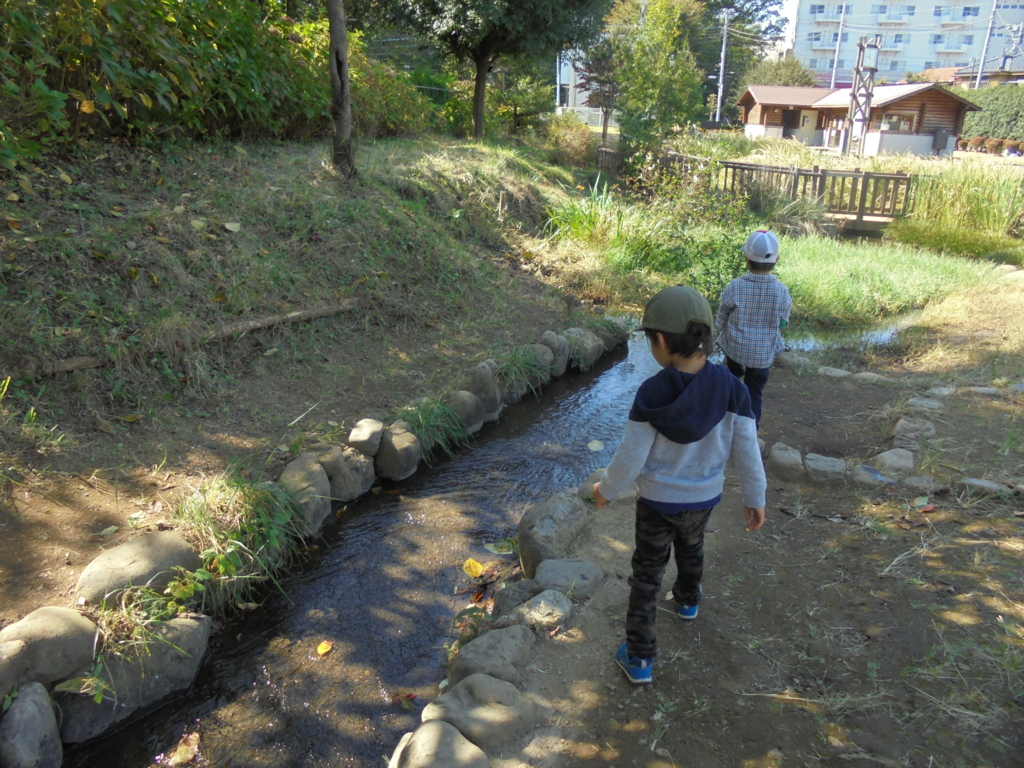 f:id:donkoro:20161024115642j:plain