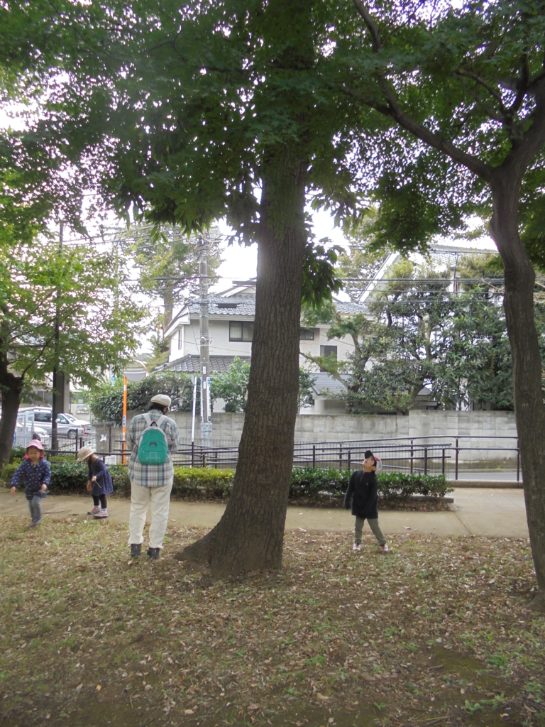 f:id:donkoro:20161031113825j:plain
