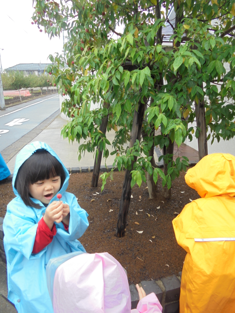 f:id:donkoro:20161101110625j:plain