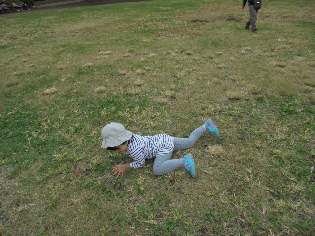 f:id:donkoro:20161102114525j:plain