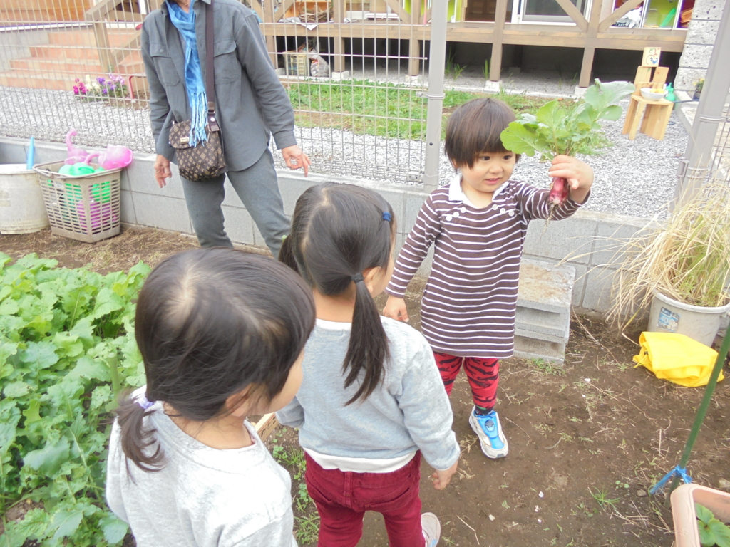 f:id:donkoro:20161108095954j:plain