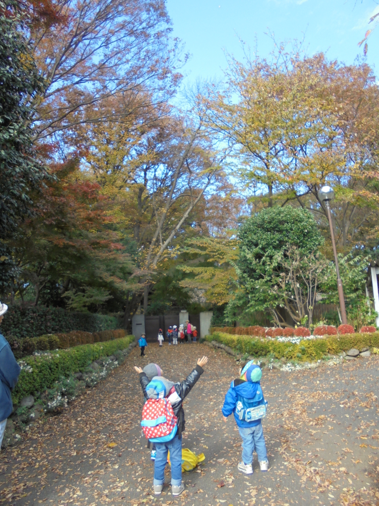 f:id:donkoro:20161129111658j:plain