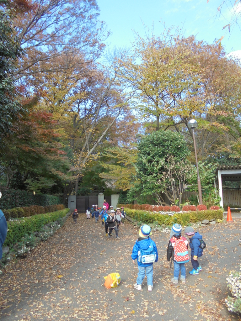 f:id:donkoro:20161129111708j:plain