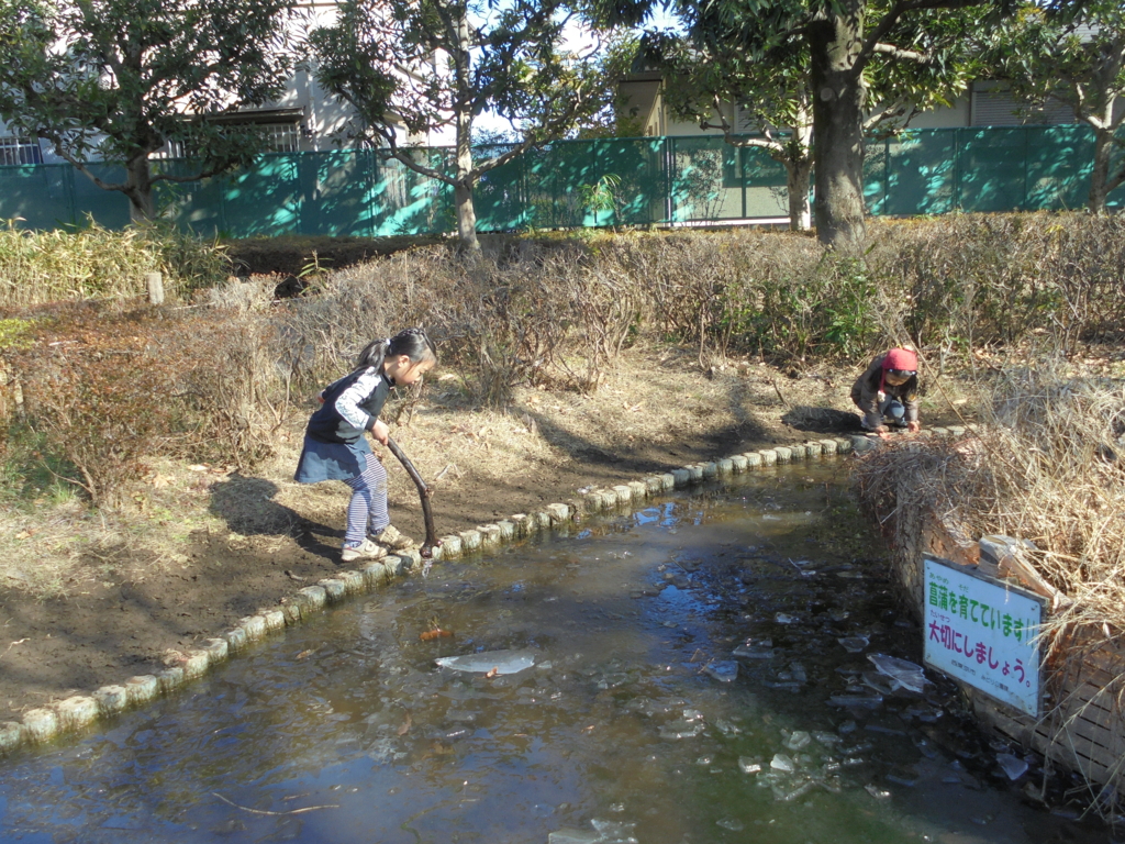 f:id:donkoro:20170117122801j:plain