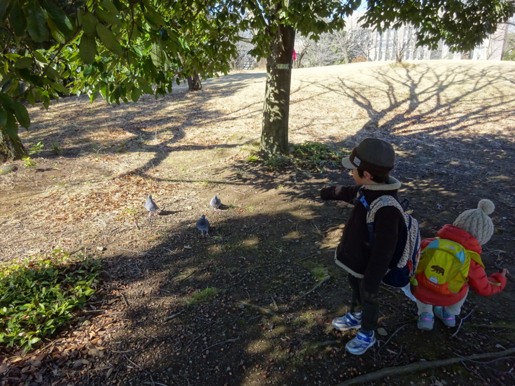 f:id:donkoro:20170125110537j:plain