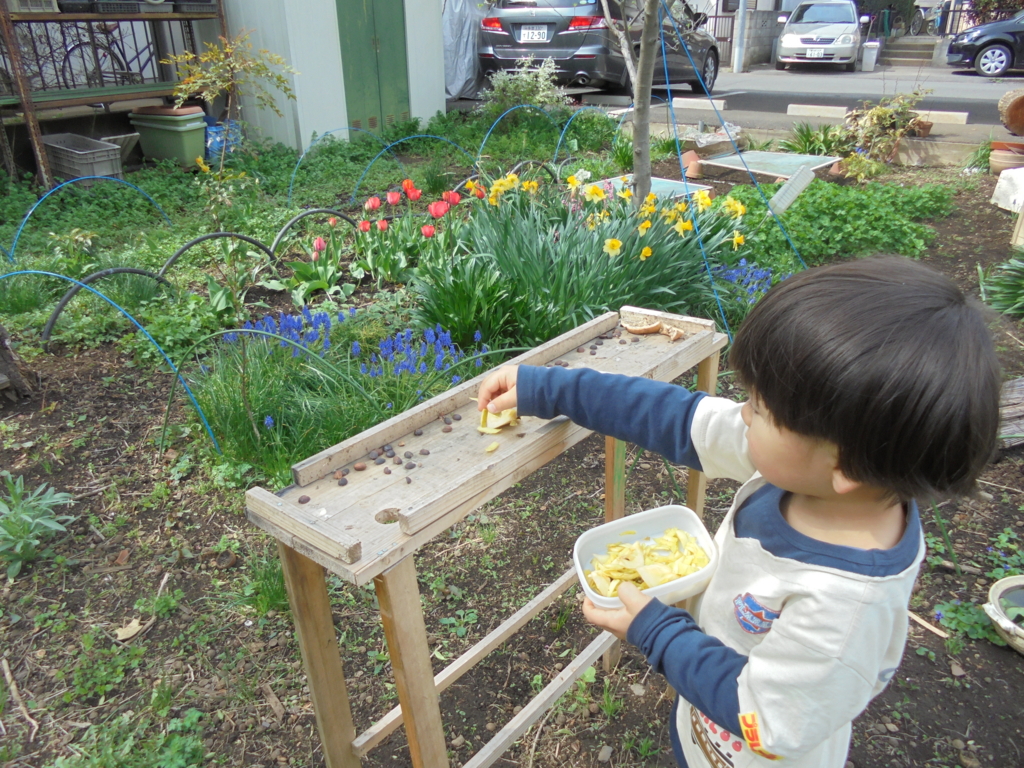 f:id:donkoro:20170410094603j:plain