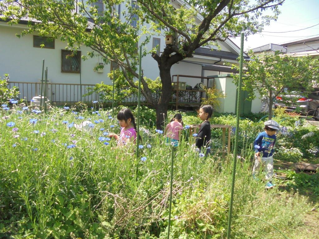 f:id:donkoro:20170502100052j:plain f:id:donkoro:20170502100052j:plain