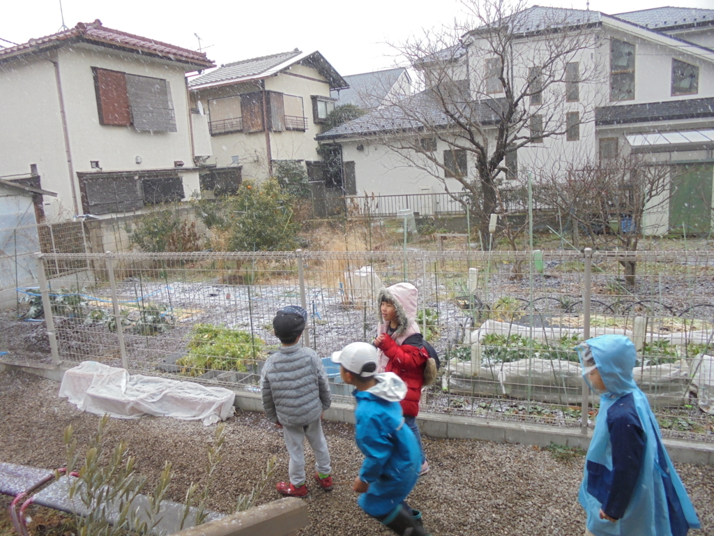 f:id:donkoro:20180122105908j:plain f:id:donkoro:20180122105908j:plain