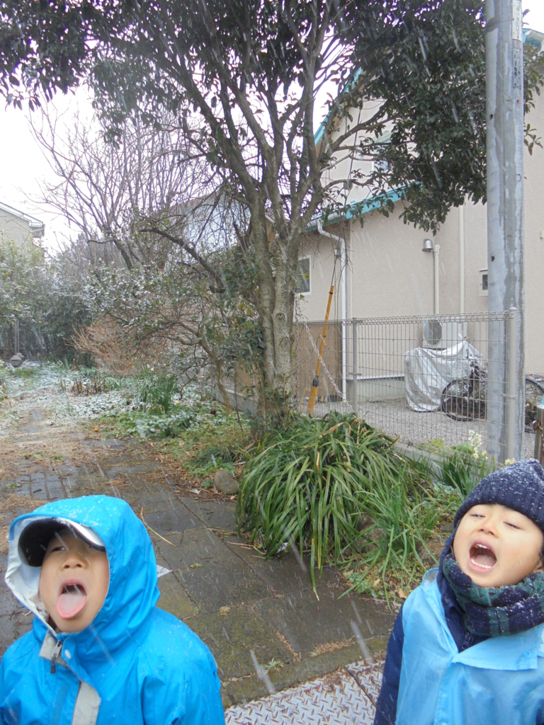 f:id:donkoro:20180122113546j:plain f:id:donkoro:20180122113546j:plain