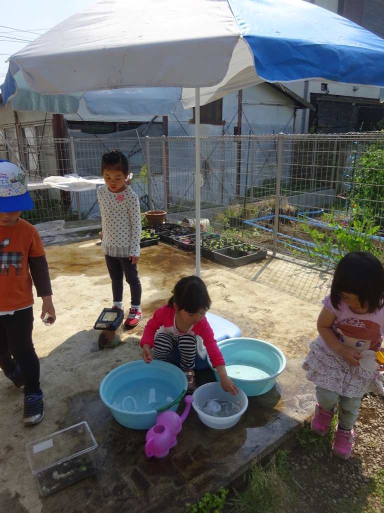 f:id:donkoro:20180420100833j:plain