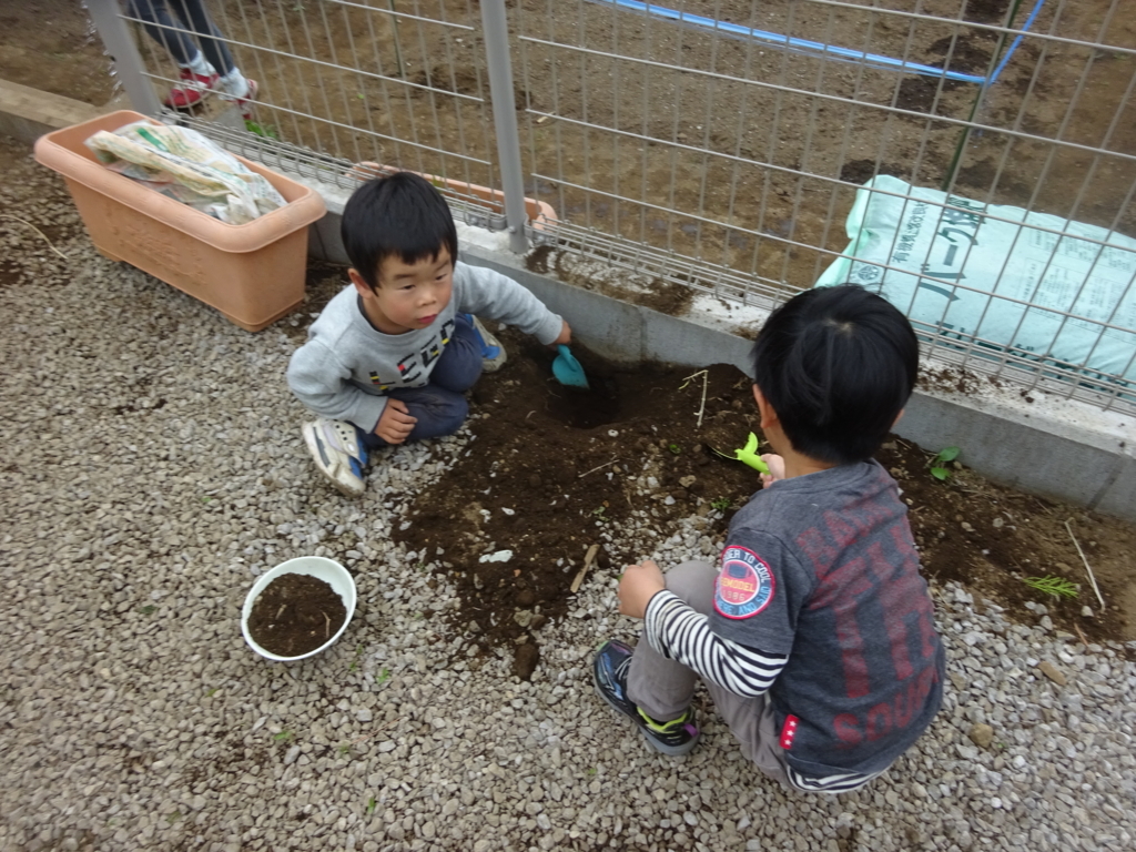 f:id:donkoro:20180423094219j:plain
