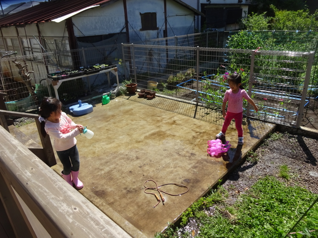 f:id:donkoro:20180426100238j:plain