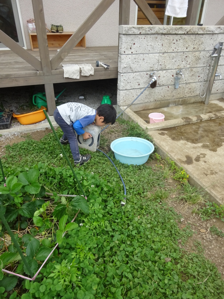f:id:donkoro:20180502093628j:plain f:id:donkoro:20180502093628j:plain