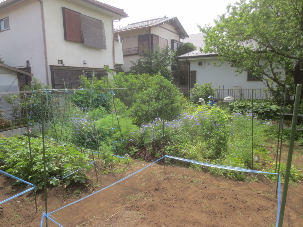 f:id:donkoro:20180525095830j:plain