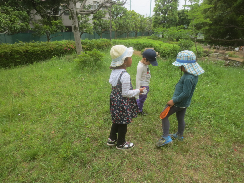 f:id:donkoro:20180528122254j:plain