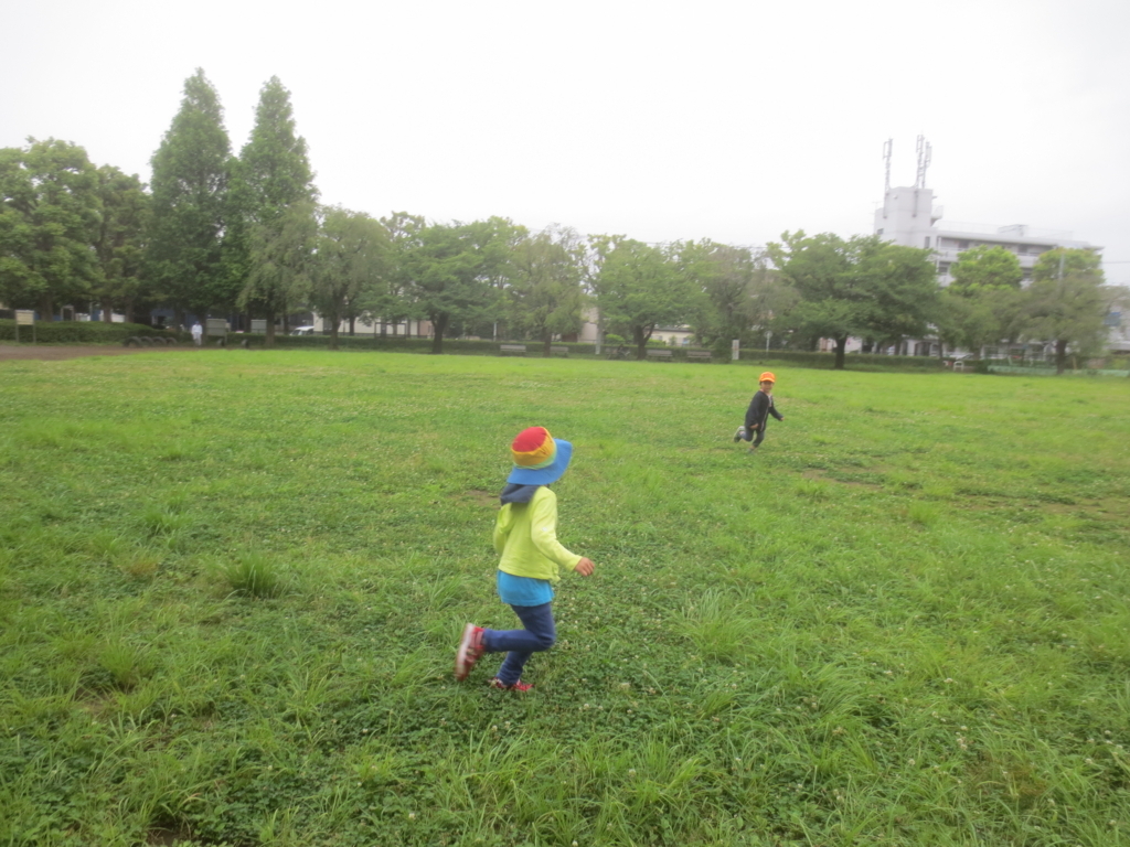 f:id:donkoro:20180618122608j:plain