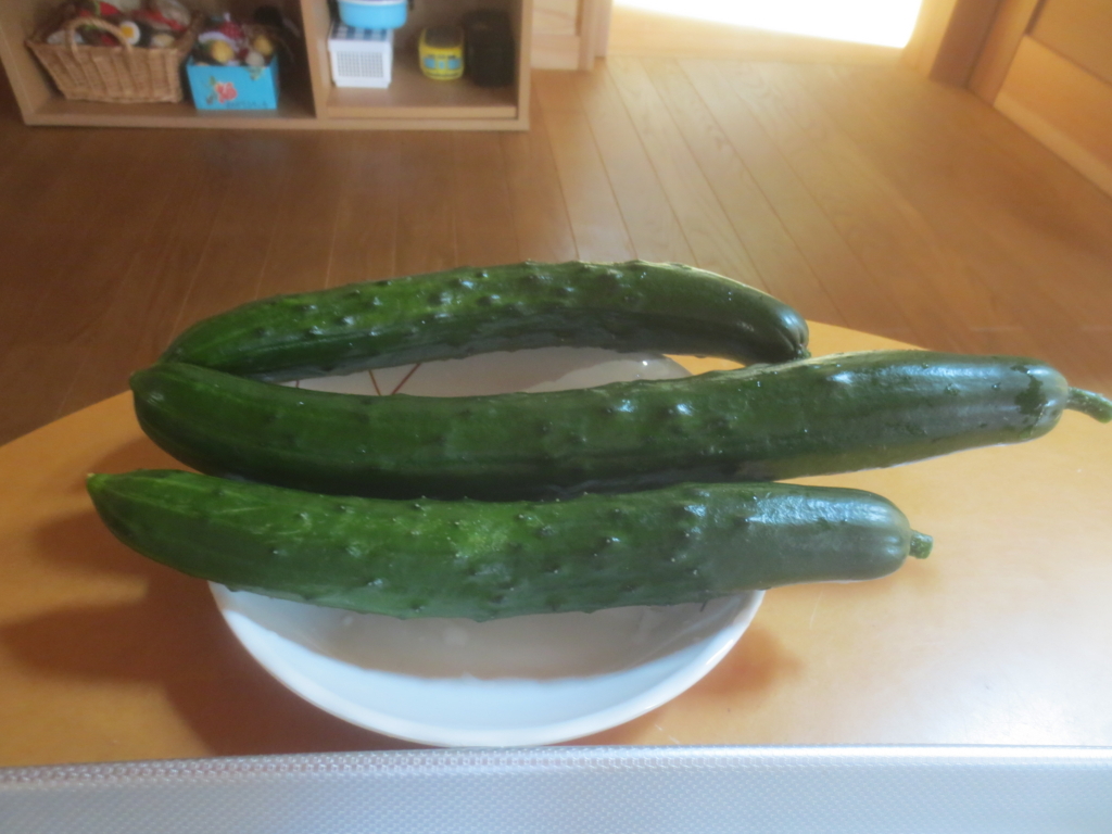 f:id:donkoro:20180625092518j:plain f:id:donkoro:20180625092518j:plain