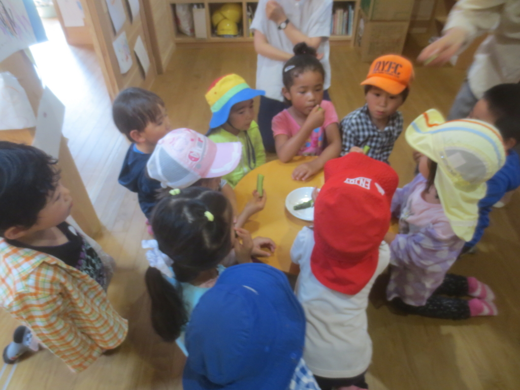 f:id:donkoro:20180625093011j:plain f:id:donkoro:20180625093011j:plain
