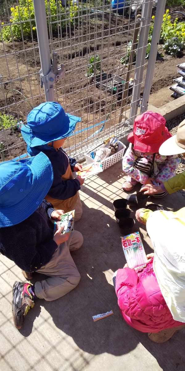 f:id:donkoro:20190318102733j:plain