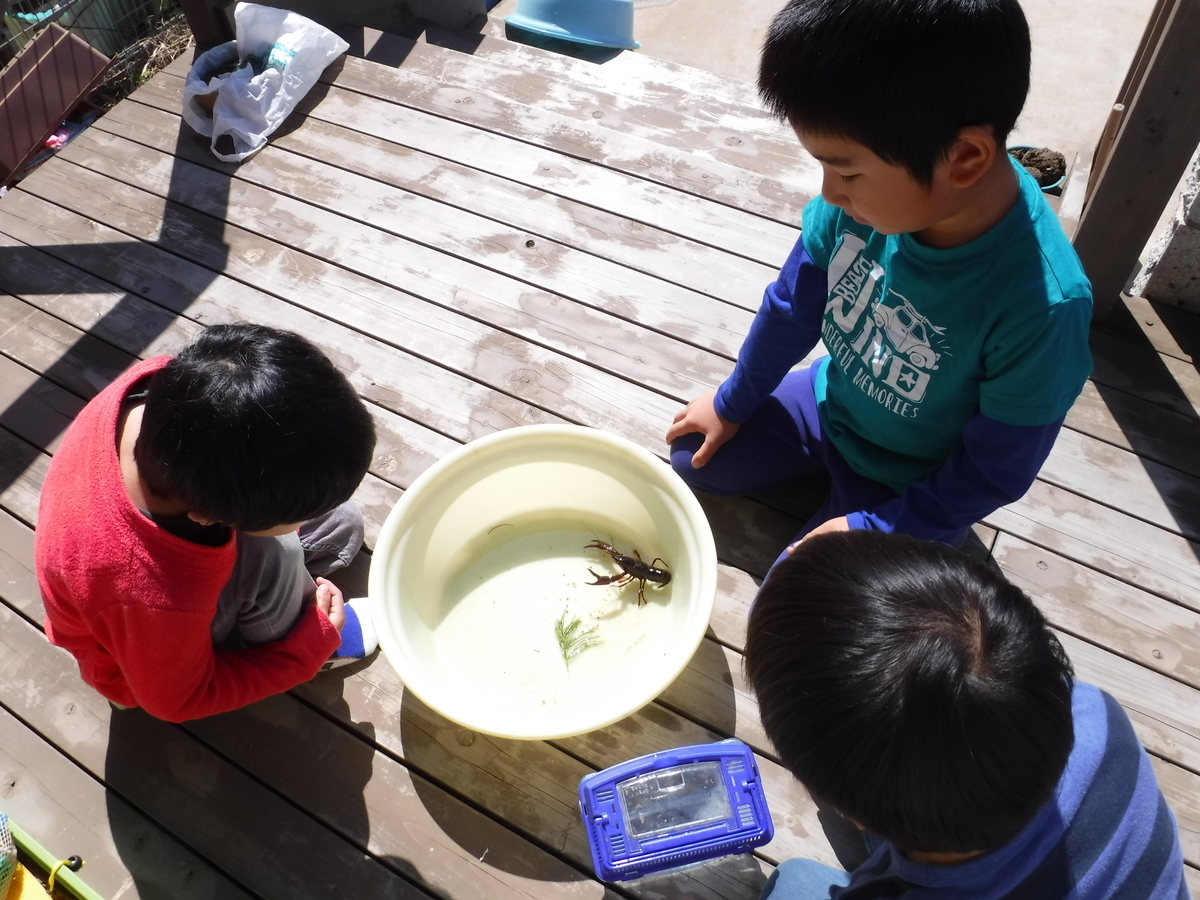 f:id:donkoro:20190415091655j:plain