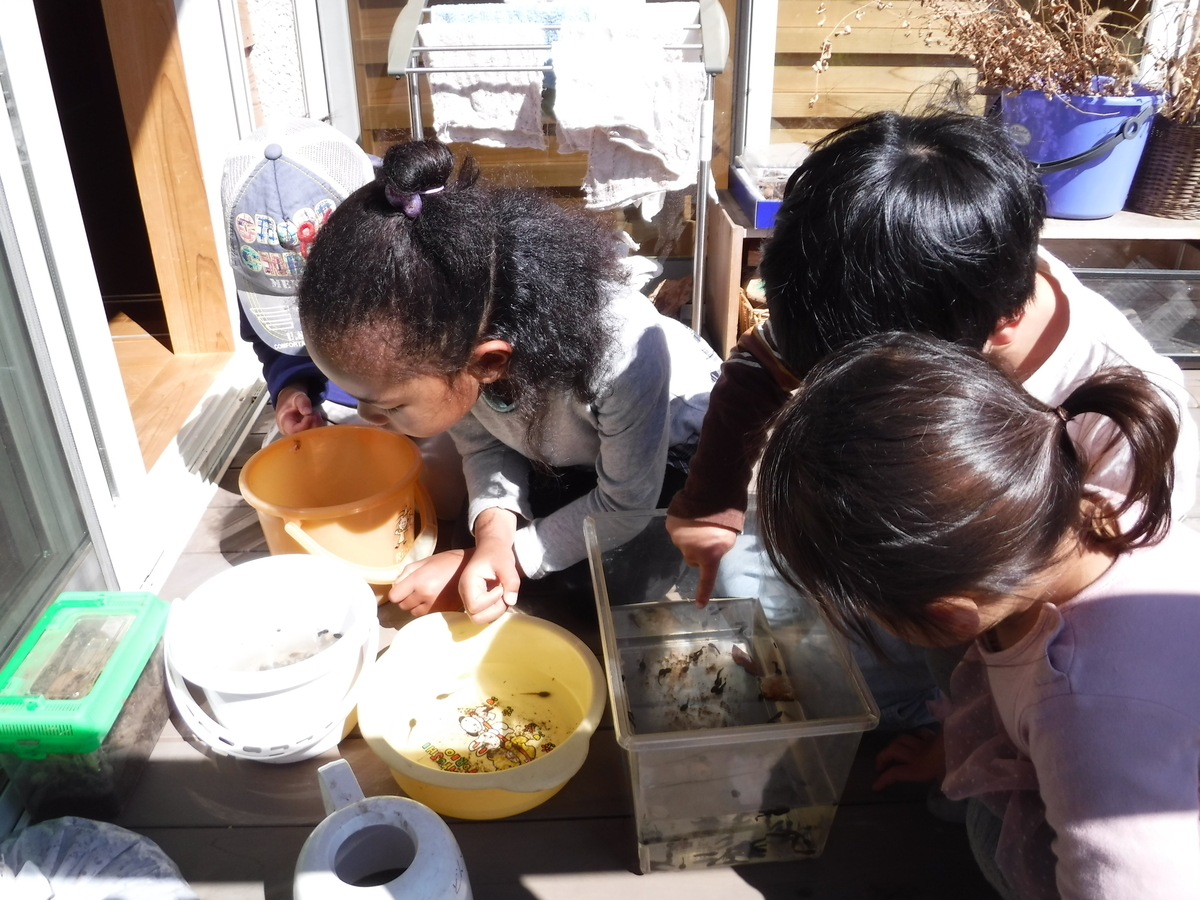 f:id:donkoro:20190416091806j:plain