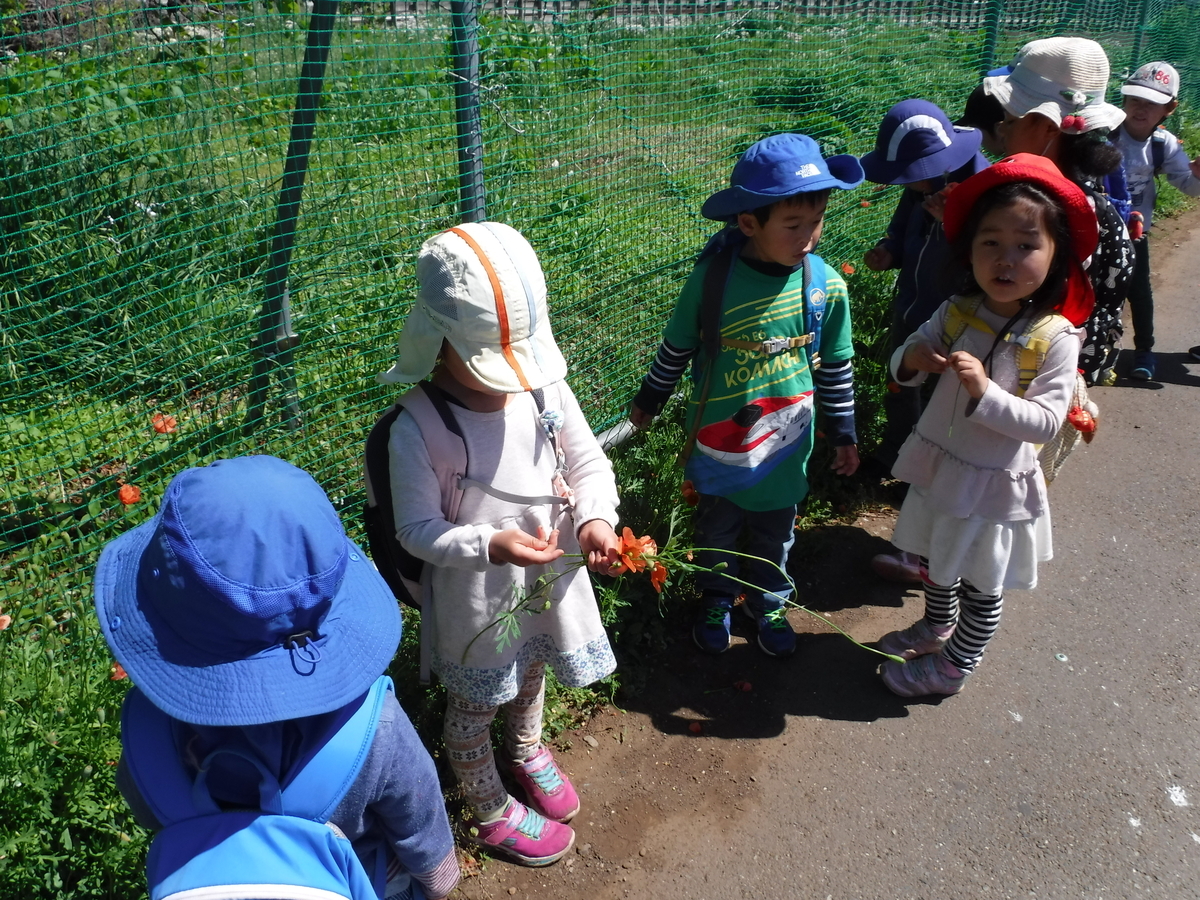 f:id:donkoro:20190508094157j:plain f:id:donkoro:20190508094157j:plain