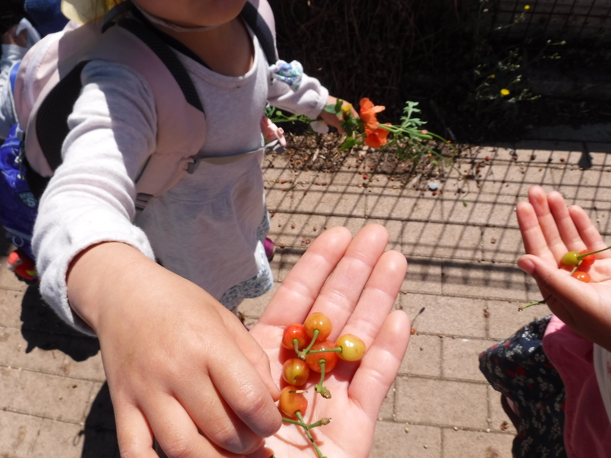 f:id:donkoro:20190508094857j:plain f:id:donkoro:20190508094857j:plain