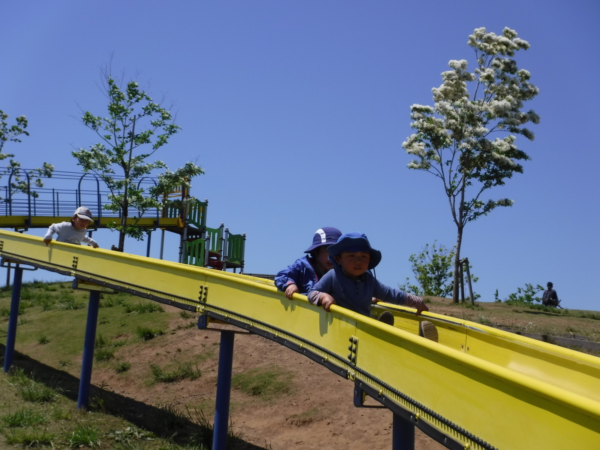 f:id:donkoro:20190508104523j:plain f:id:donkoro:20190508104523j:plain