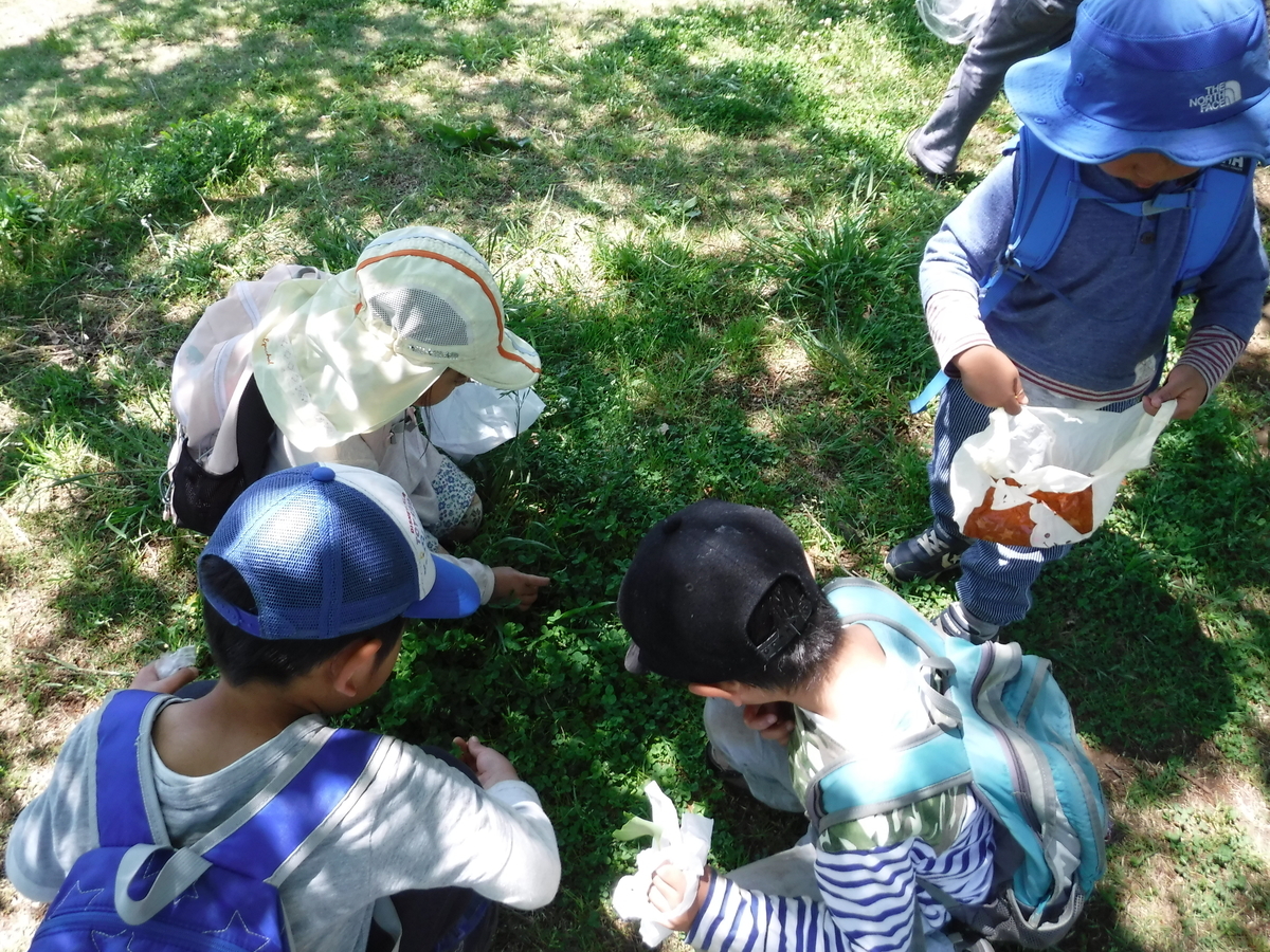 f:id:donkoro:20190508111426j:plain f:id:donkoro:20190508111426j:plain