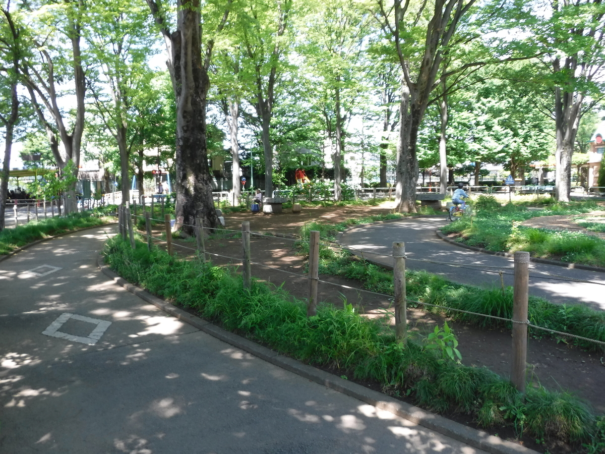 f:id:donkoro:20190617100730j:plain