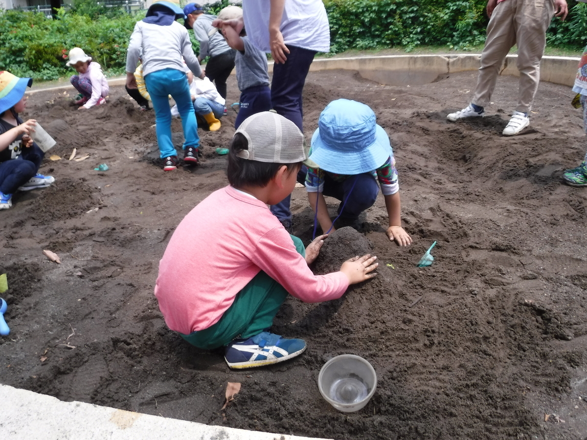 f:id:donkoro:20190621104709j:plain