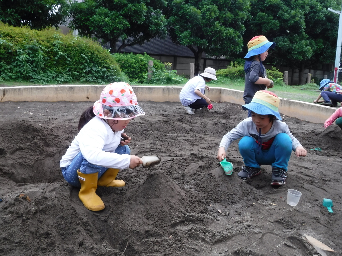 f:id:donkoro:20190621105032j:plain
