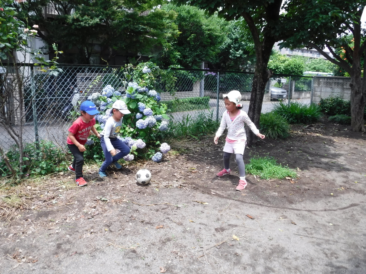 f:id:donkoro:20190625115204j:plain