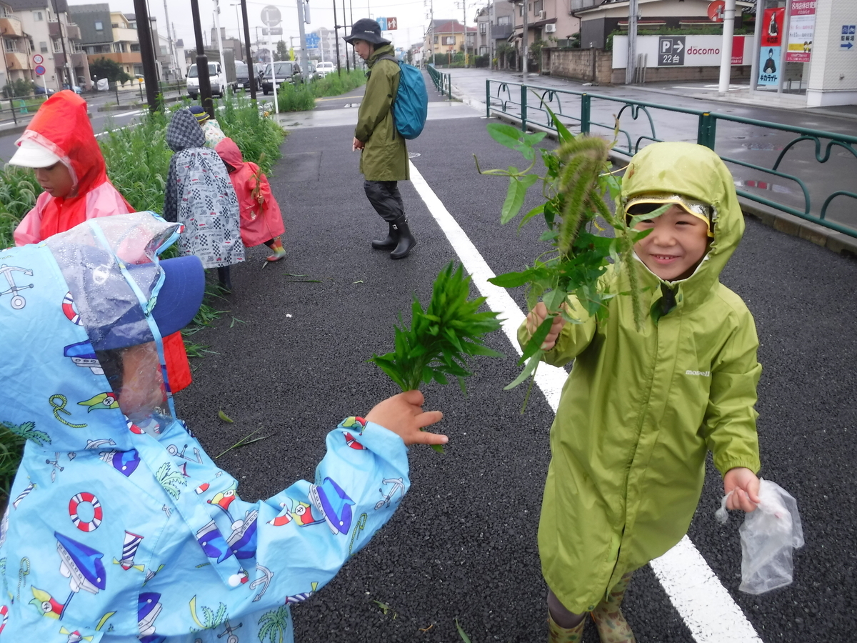 f:id:donkoro:20190712105156j:plain f:id:donkoro:20190712105156j:plain