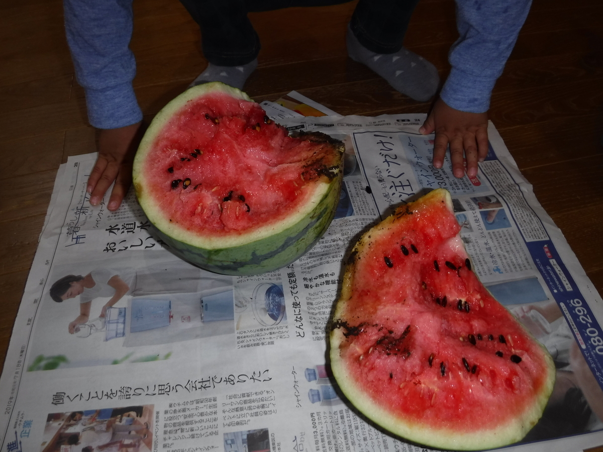 f:id:donkoro:20190906091313j:plain