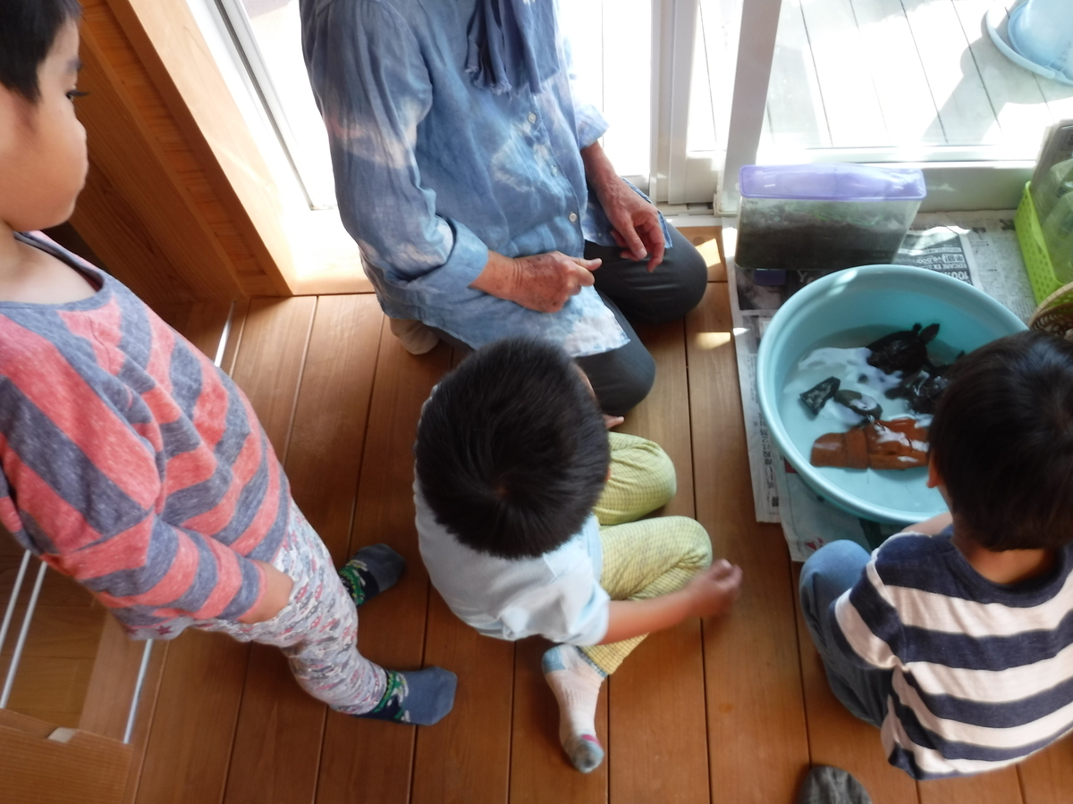 f:id:donkoro:20190920092758j:plain