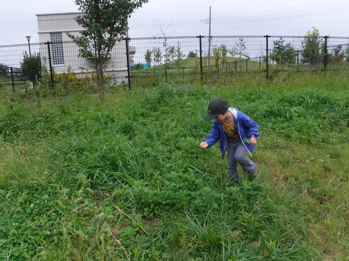 f:id:donkoro:20191016102349j:plain