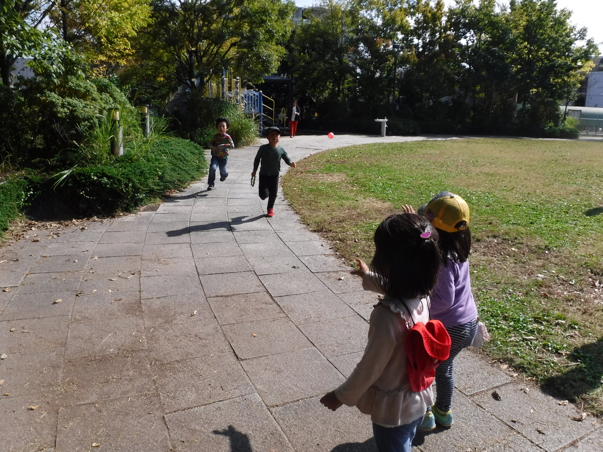 f:id:donkoro:20191028110552j:plain
