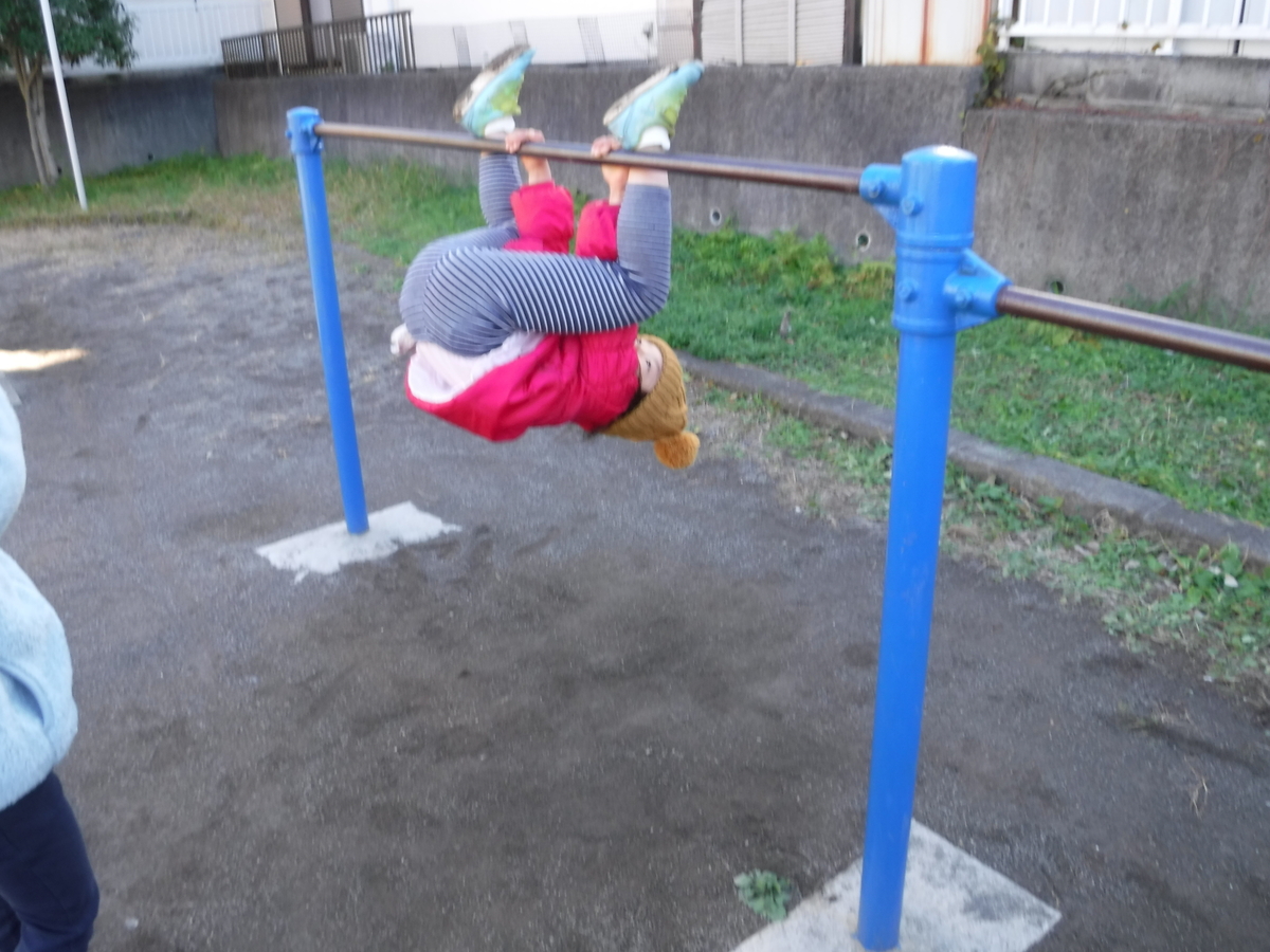 f:id:donkoro:20191203111743j:plain f:id:donkoro:20191203111743j:plain